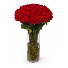 Ultimate Red Long Stem Roses